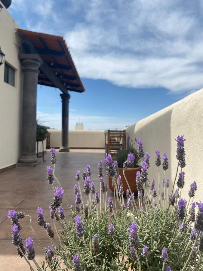 Hotel La Lejona San Miguel de Allende Kültér fotó