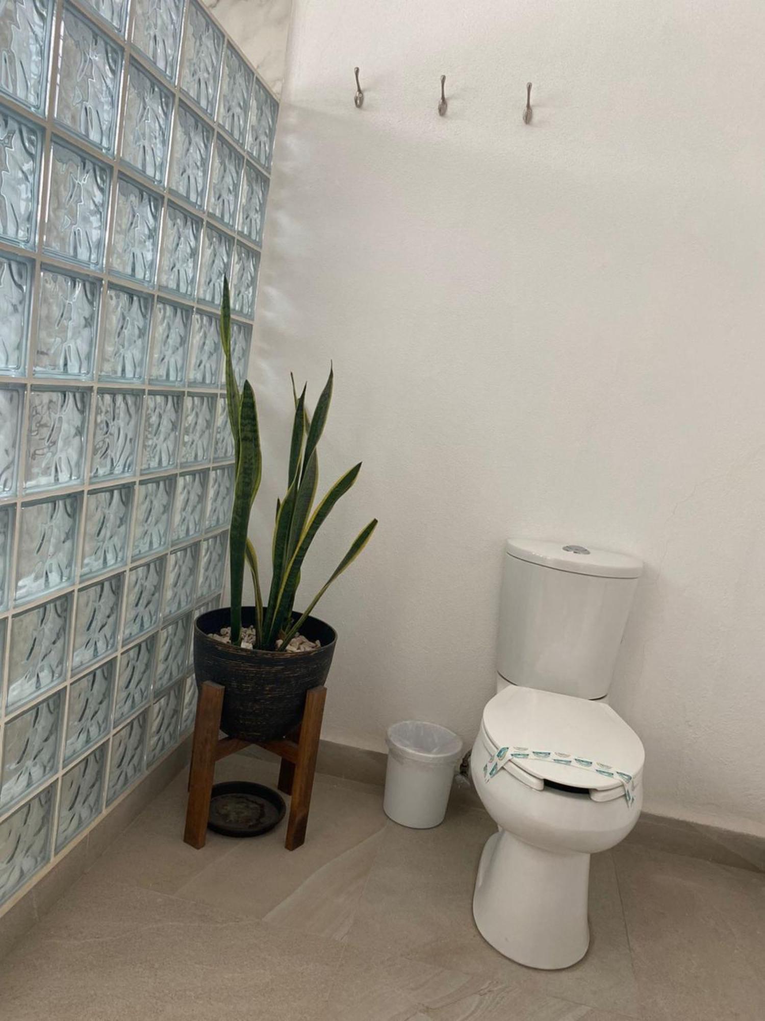 Hotel La Lejona San Miguel de Allende Kültér fotó